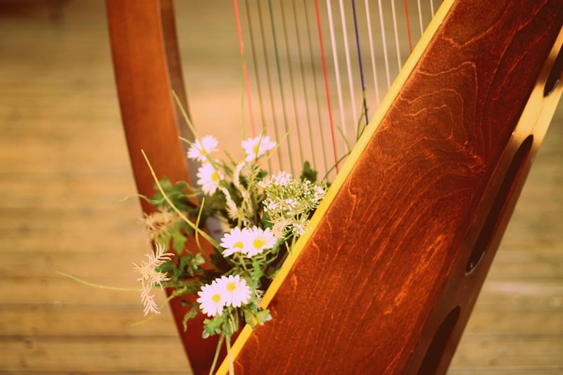 Harp in a forest setting